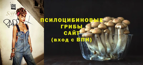 гашик Баксан